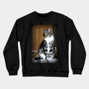 Little Miss Tilly Sitting Pretty Crewneck Sweatshirt